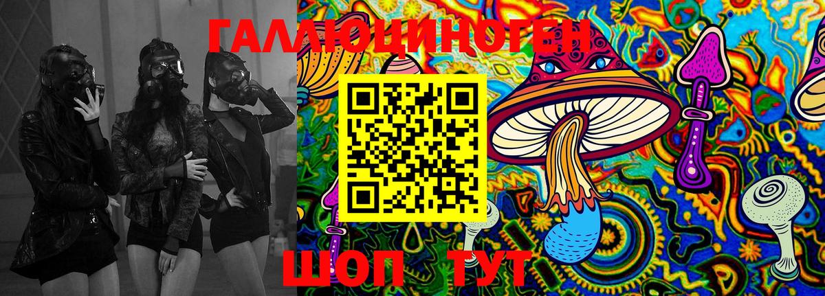 Приморско-Ахтарск  Псилоцибиновые грибы Magic Shrooms  Вход с VPN 
