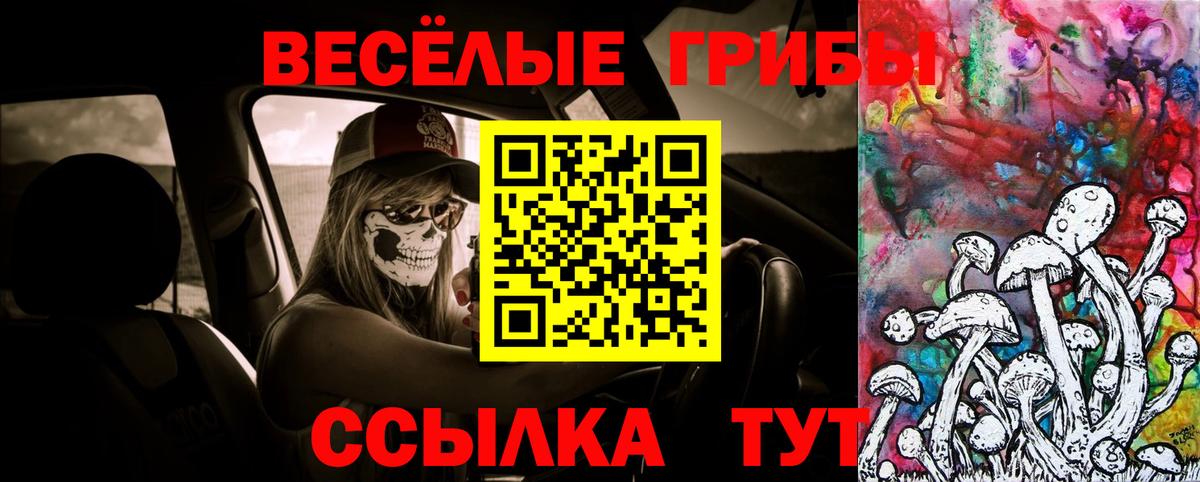 Галлюциногенные грибы GOLDEN TEACHER Приморско-Ахтарск